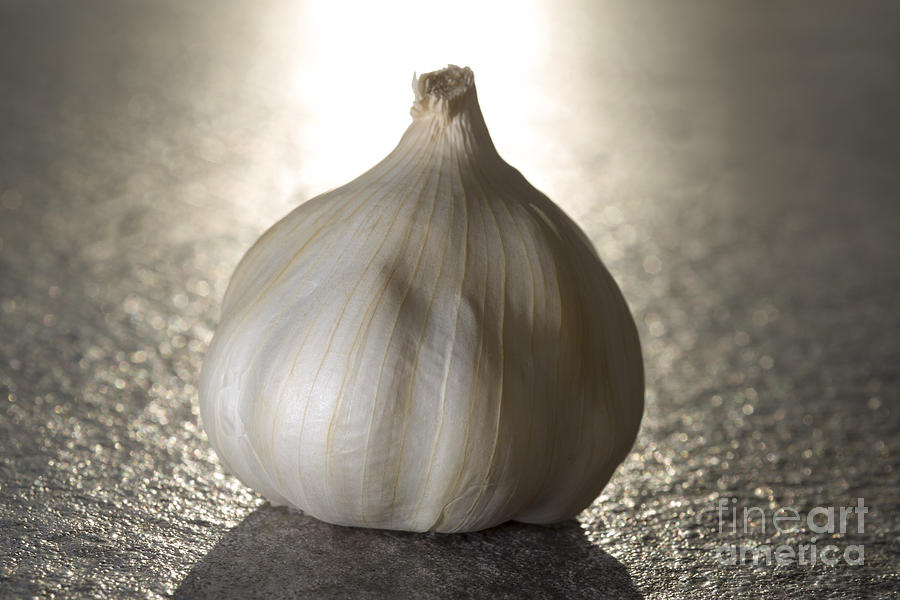 Vegetable Photograph - Garlic #4 by Mats Silvan