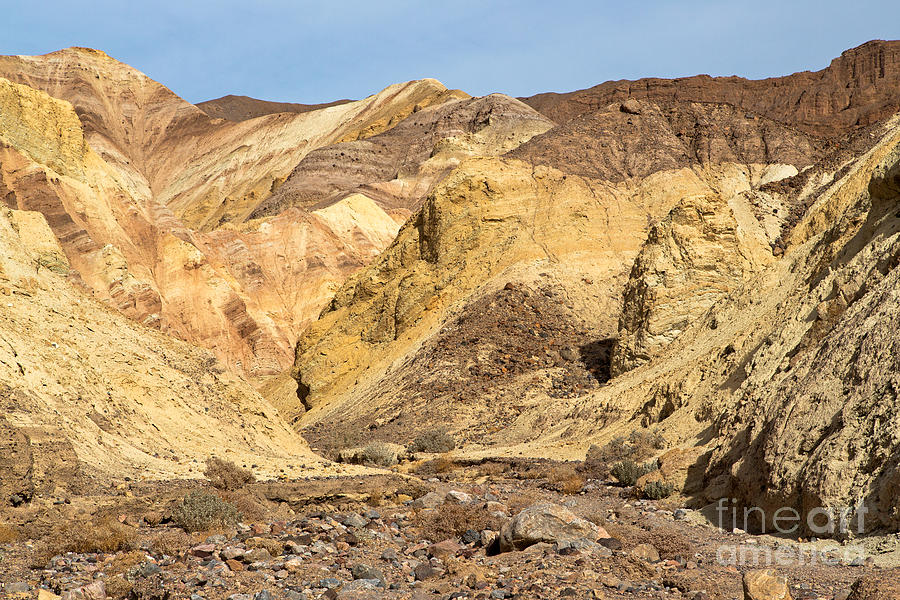 Golden Canyon Death Valley National Park #4 Photograph by Fred Stearns