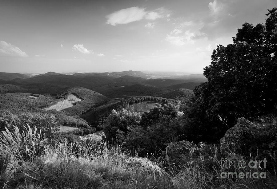 Black And White Photograph - Gorgeous view. #4 by Alstair Thane