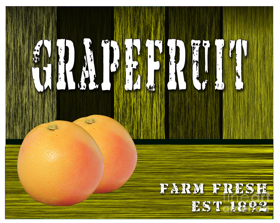 Grapefruit #4 Mixed Media by Marvin Blaine