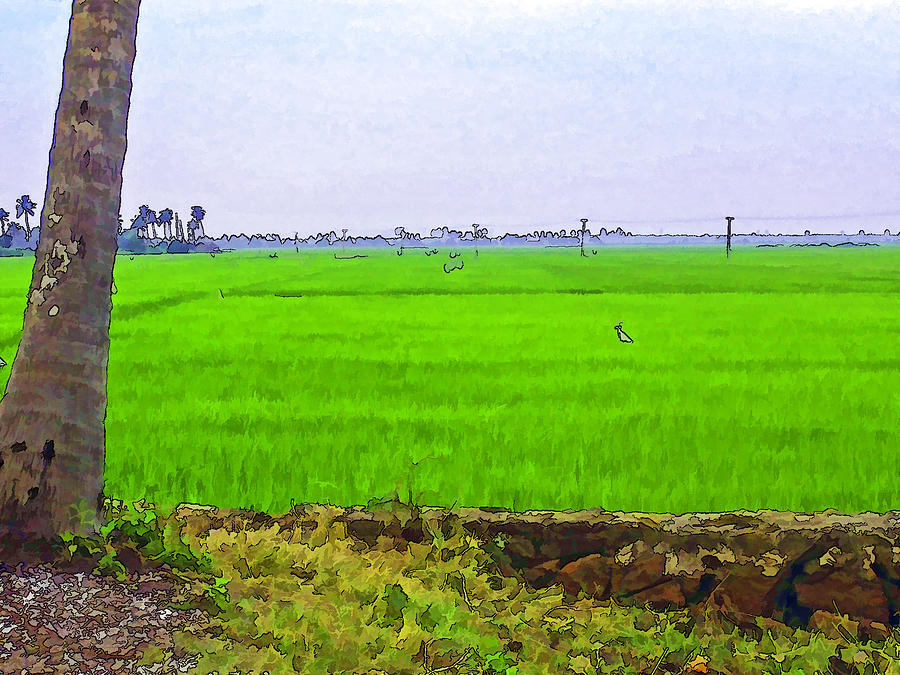 Green fields with birds #4 Digital Art by Ashish Agarwal