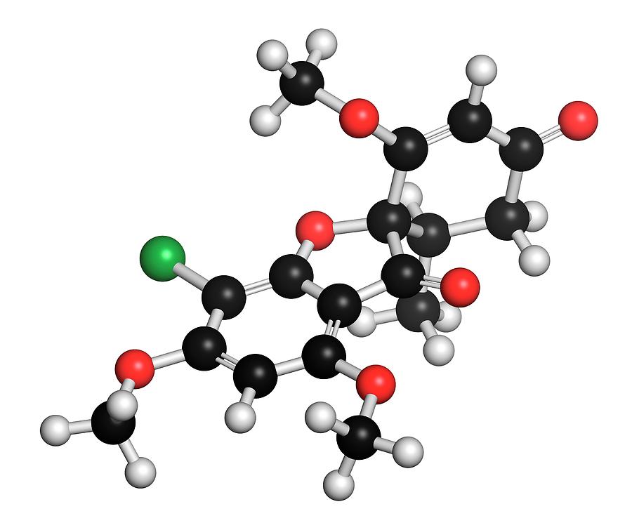 Nail Photograph - Griseofulvin Antimycotic Drug Molecule #4 by Molekuul