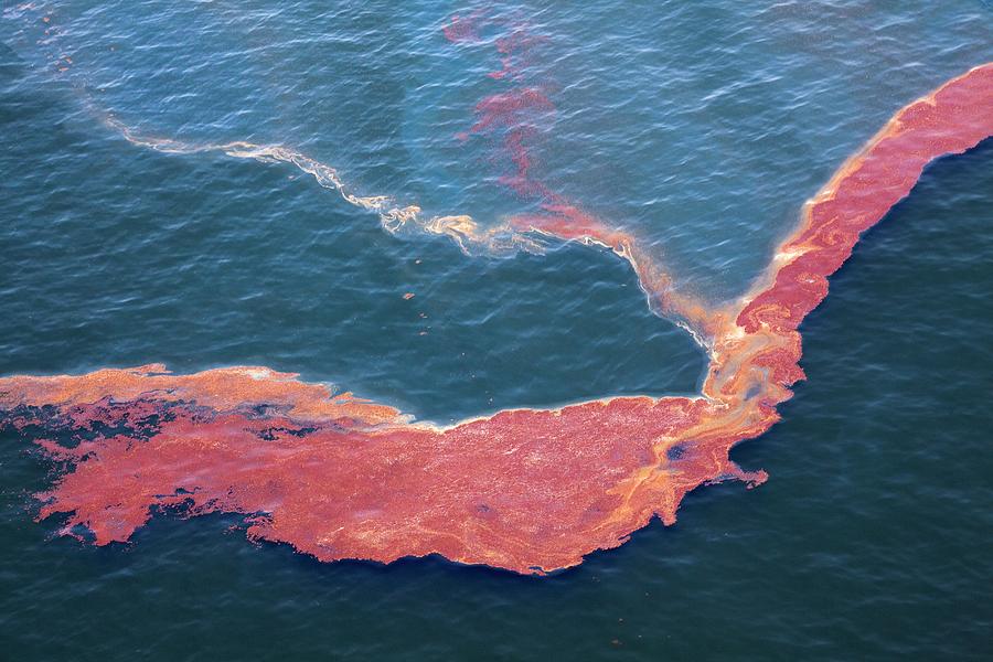 Gulf Of Mexico Oil Spill #4 Photograph by Jim Edds/science Photo Library