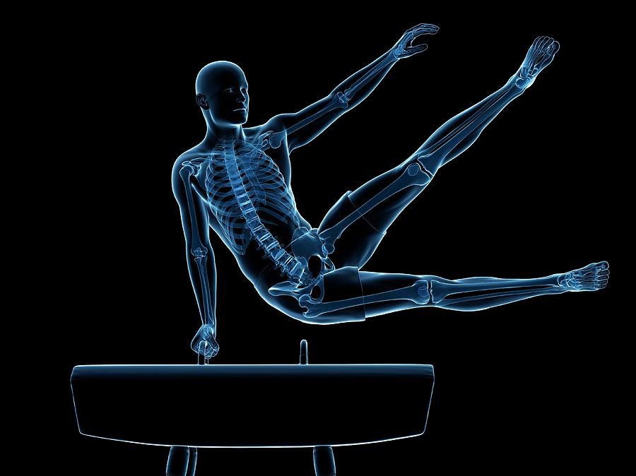Skeleton Photograph - Gymnast #4 by Sciepro/science Photo Library
