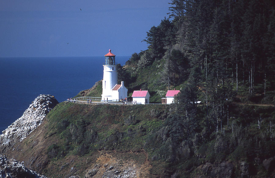 Haceta Head Light Photograph by Herbert Gatewood - Fine Art America