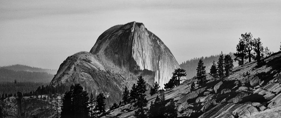 Yosemite National Park Photograph - Half Dome #4 by Cat Connor