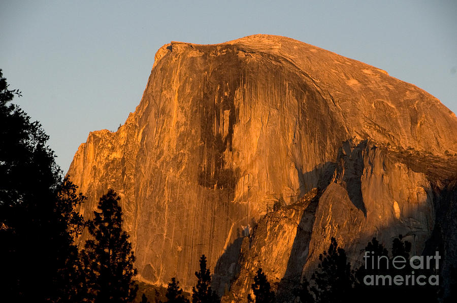 Half Dome, Yosemite Np #4 Photograph by Mark Newman