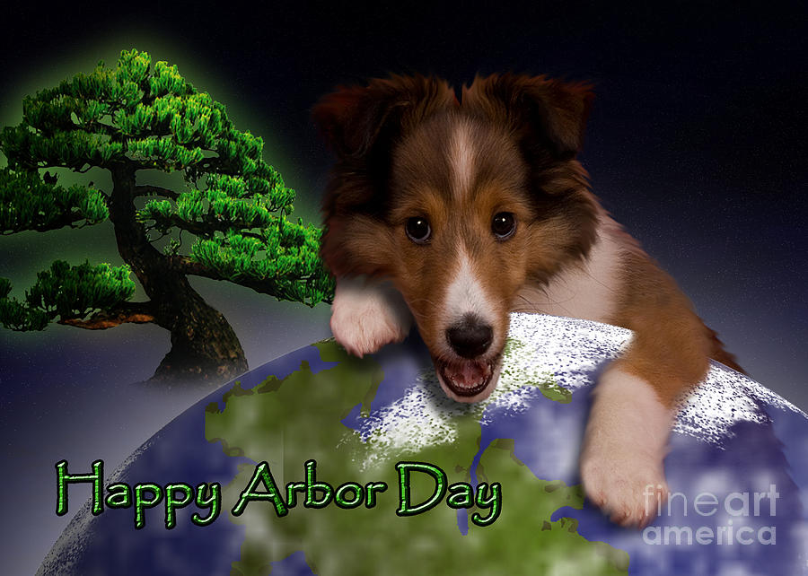 Nature Photograph - Happy Arbor Day Sheltie Puppy #4 by Jeanette K