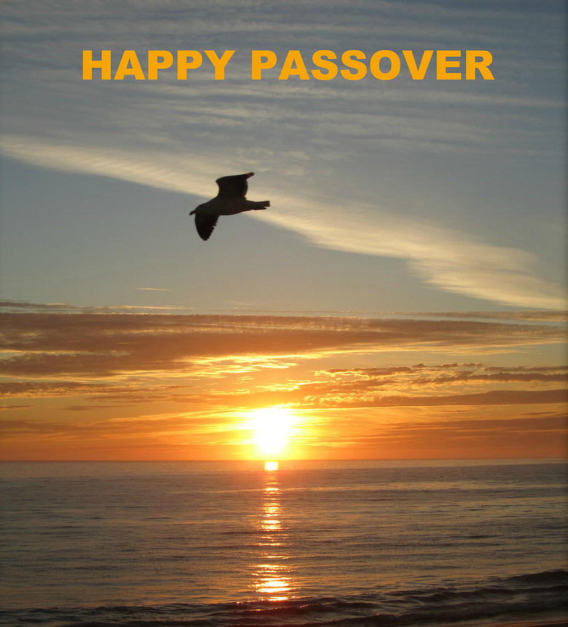 Happy Passover #4 Photograph by John Shiron