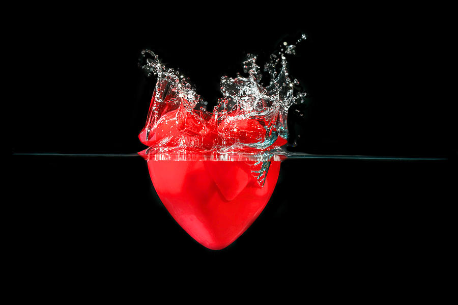Heart #4 Photograph by Peter Lakomy