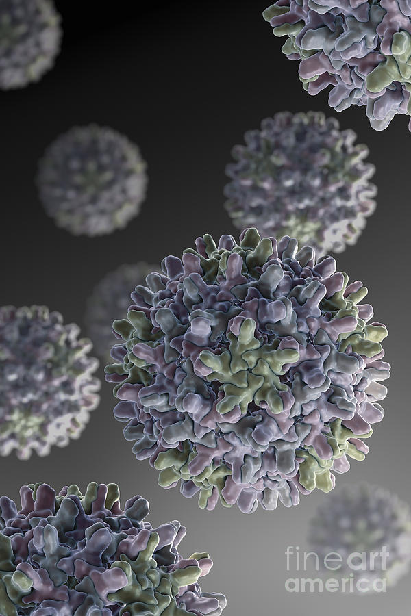 Hepatitis B Virus #4 Photograph by Science Picture Co