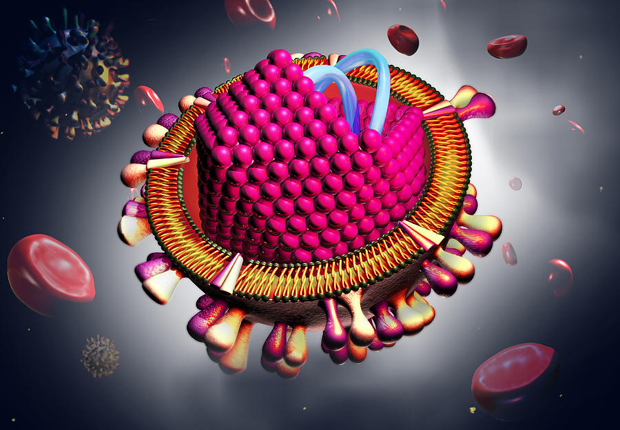 Hepatitis C Virus, Illustration #4 Photograph by Sultan Alshehri