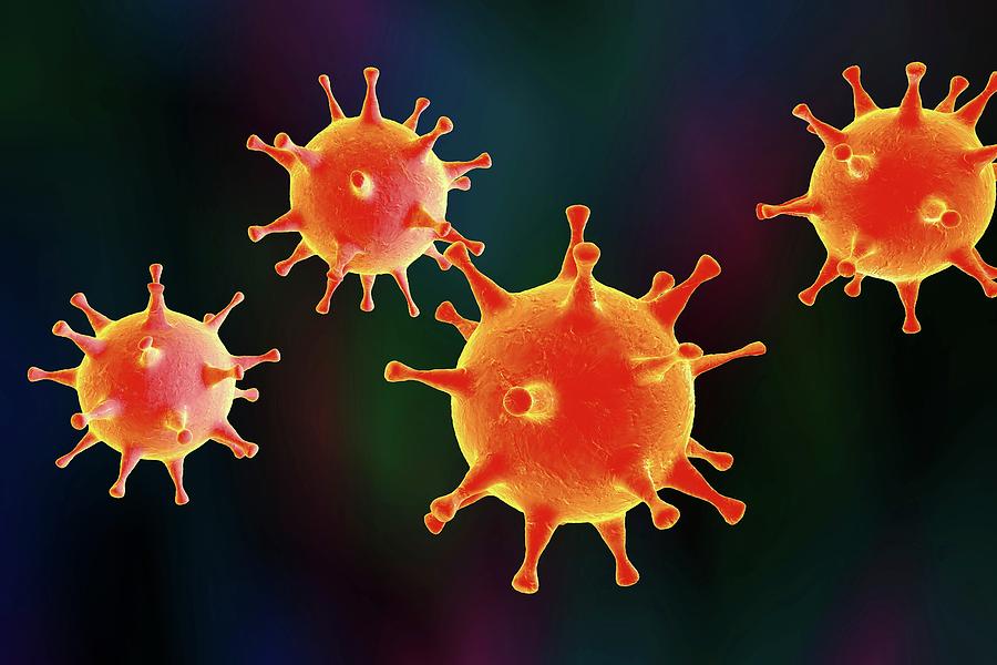 Вирус простого герпеса фото. Human herpes