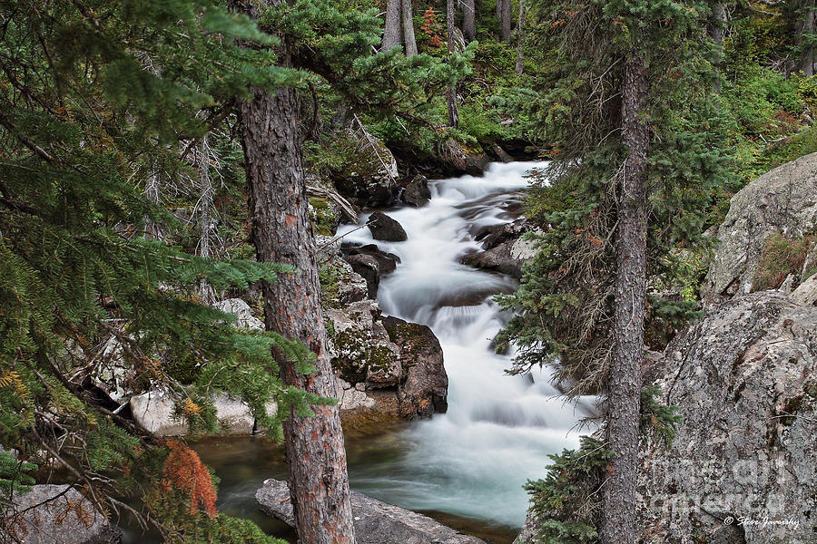 Hidden Falls Path Teton National Park #4 Photograph by Steve Javorsky