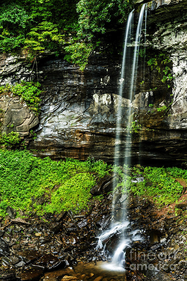 Hills Creek Falls Photograph