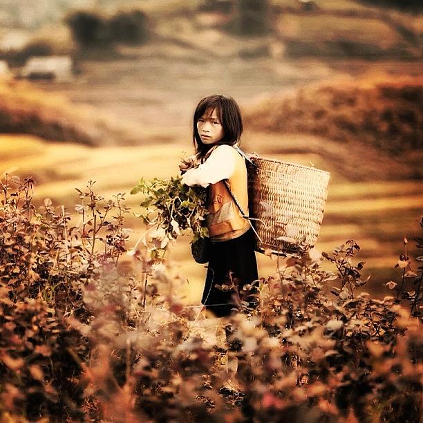 Hmong Girl Sapa Vietnam #4 Photograph by Universal Traveller
