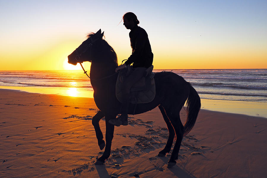 horse and rider in sunset