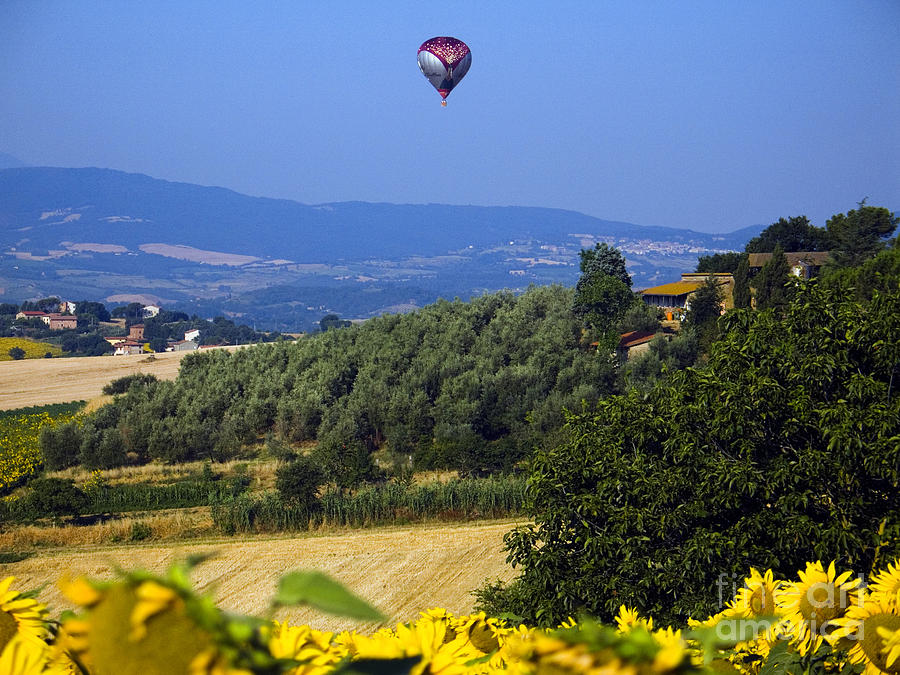 Nature Photograph - Hot Air Balloon, Italy #4 by Tim Holt