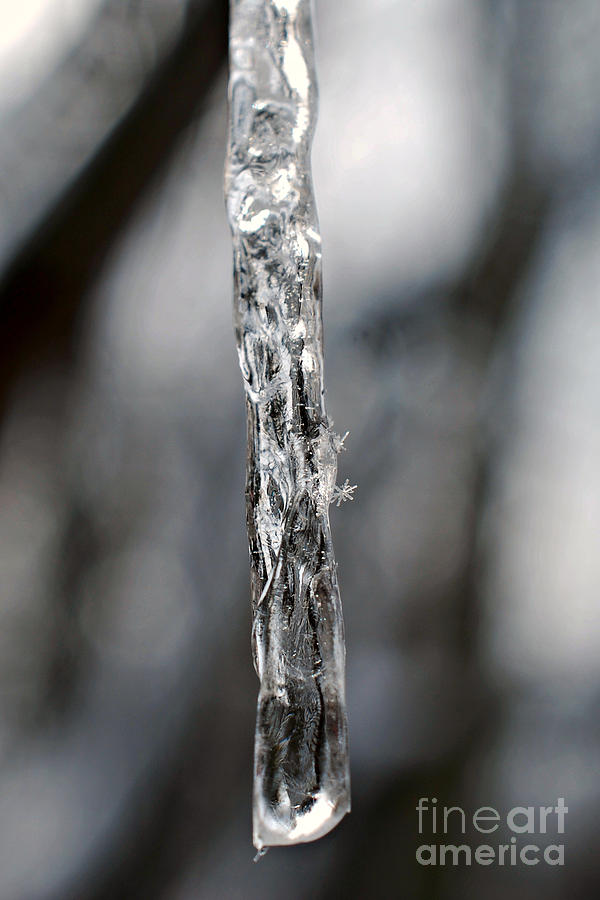 Icicle and Snowflakes #4 Photograph by Lila Fisher-Wenzel