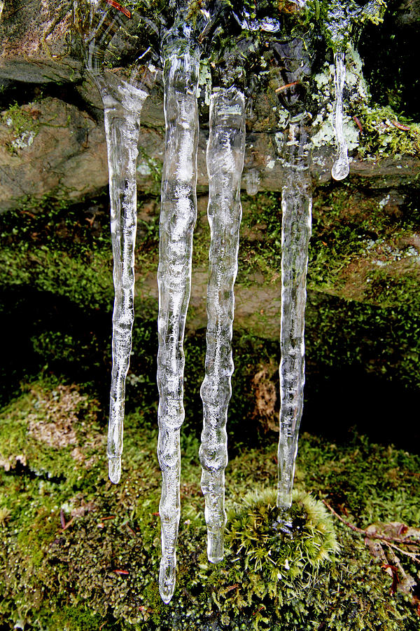 Icicles #1 Photograph by Dawn J Benko