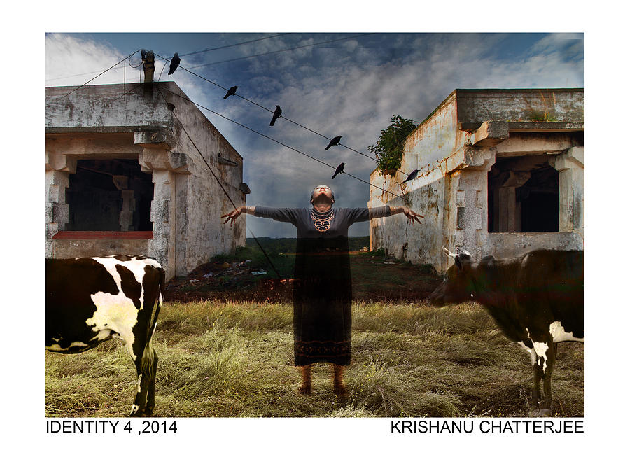 Crow Photograph - Identity  #4 by Krishanu Chatterjee