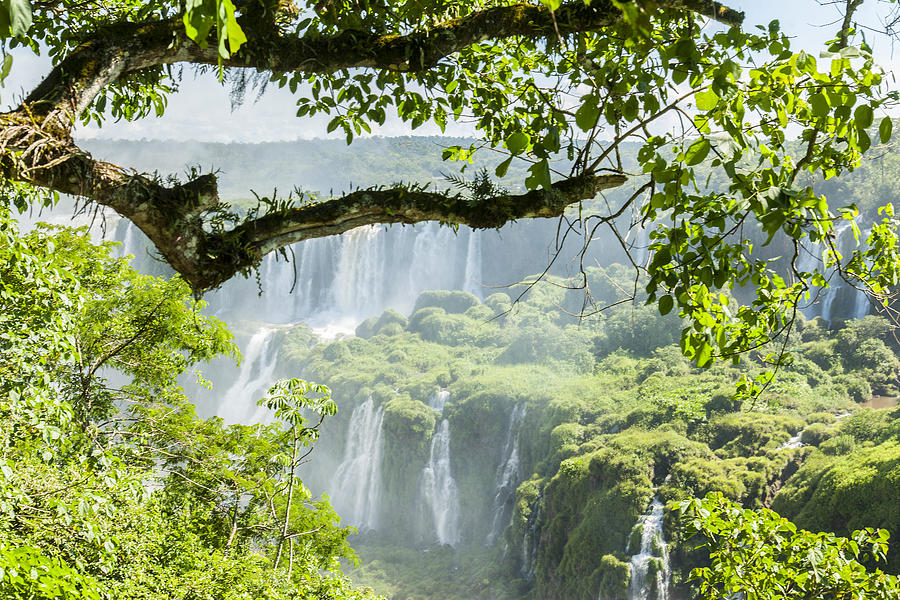 Iguazu Waterfall #4 Photograph by Maremagnum