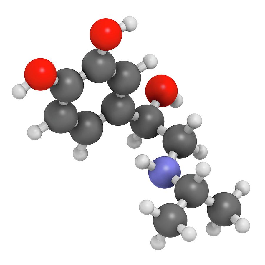 Isoprenaline Drug Molecule Photograph by Molekuul/science Photo Library ...