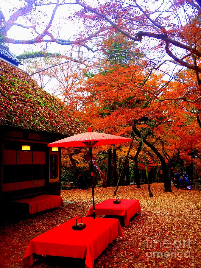 Japan Red #5 Photograph by Kumiko Mayer