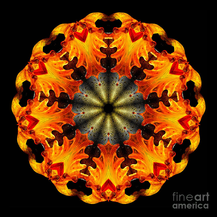 Abstract Photograph - Kaleidoscope of Blown Glass #4 by Amy Cicconi