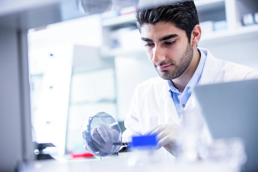 Lab Assistant Using Mini Centrifuge Photograph by Science Photo Library ...