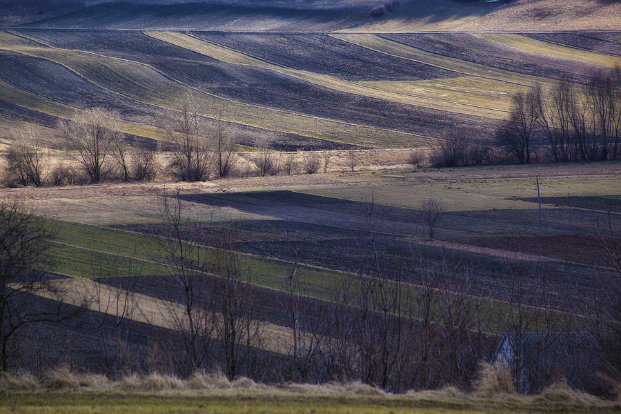 Landscape Photograph - Landscape by Anna Gora Landscape Photograph - Landscape by Anna Gora