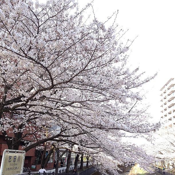 Landscape Photograph - #landscape by Tokyo Sanpopo Landscape Photograph - #landscape by Tokyo Sanpopo