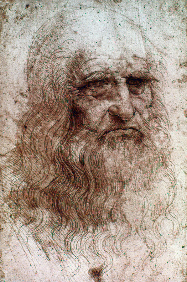 Leonardo Da Vinci (14521519) Drawing by Granger