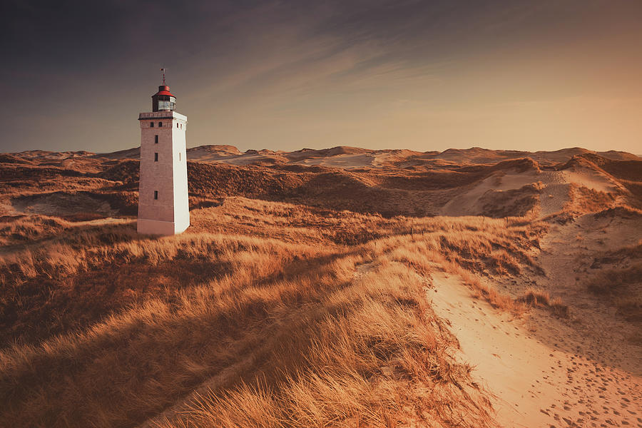 Lighthouse In The Dunes #4 Photograph by Ppampicture