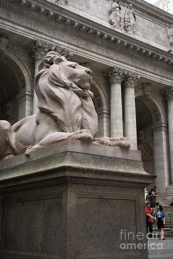 Architecture Photograph - Lion New York Public Library #4 by Amy Cicconi