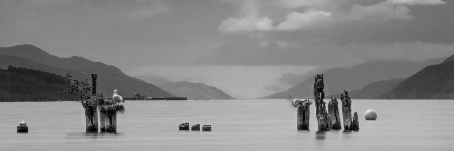 Loch Ness from Dores #4 Photograph by Veli Bariskan