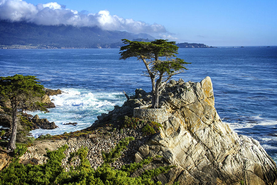 Landscape Photograph - Lone Cypress #4 by Leon Chang