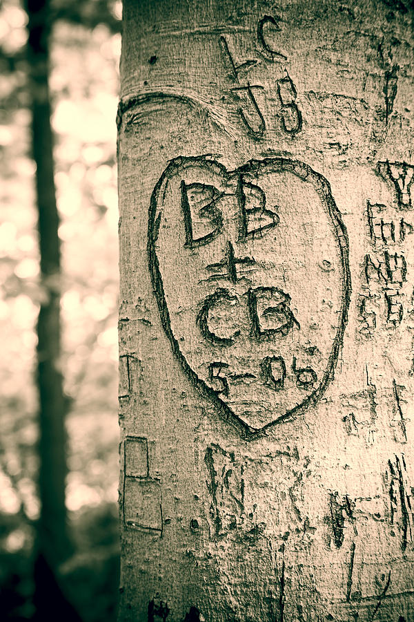 Love Tree Photograph by Erin Cadigan - Fine Art America