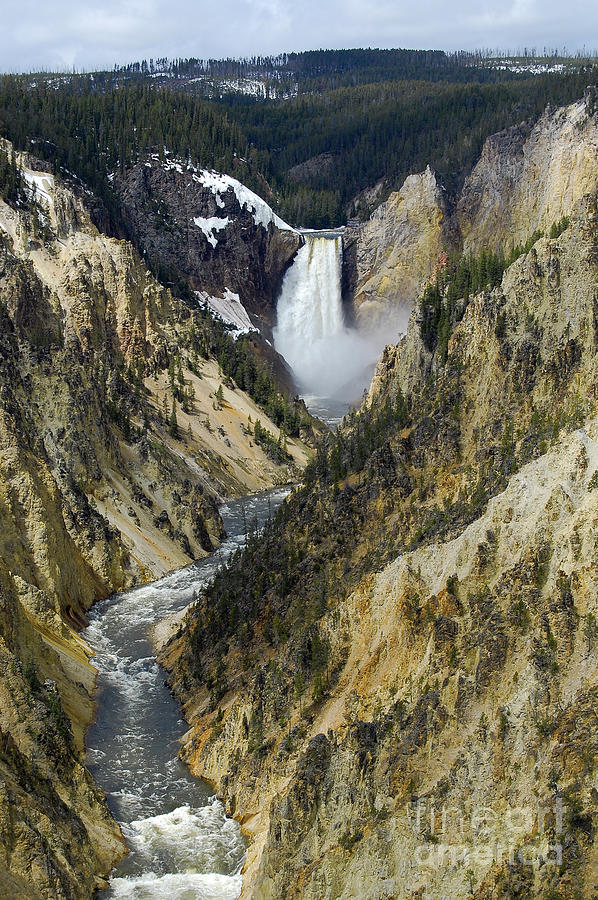 Lower Falls From Artist Point Yellowstone National Park Photograph by ...