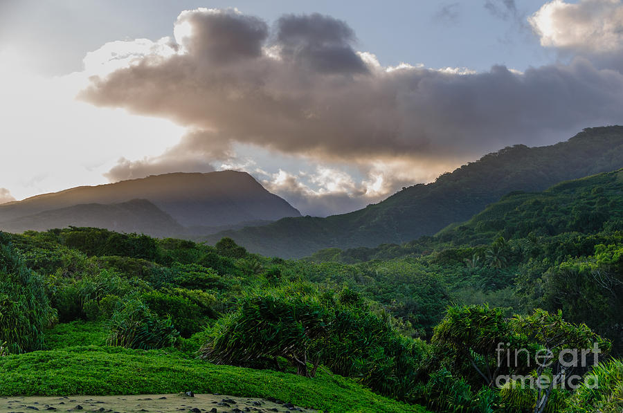 Lush tropical valley on the Road to Hana Maui Hawaii USA #4 Photograph by Don Landwehrle
