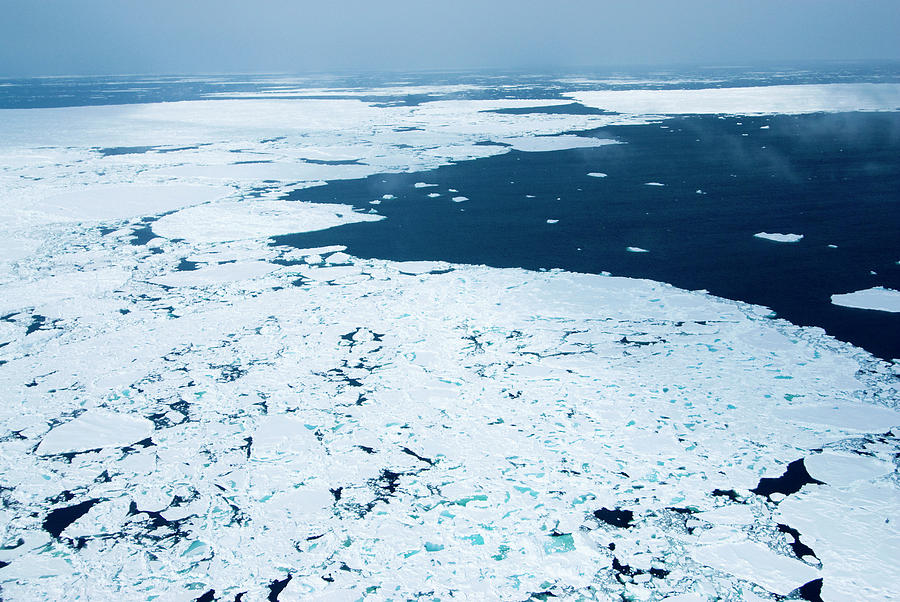 Melting Arctic Sea Ice Photograph by Louise Murray/science Photo Library