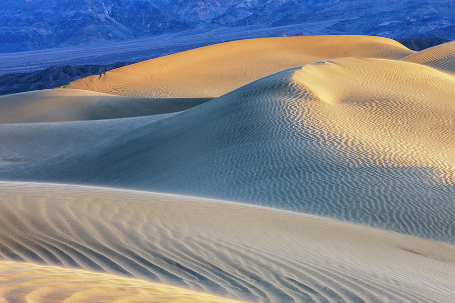 Mesquite Sand Dunes Photograph by Tom Norring - Fine Art America