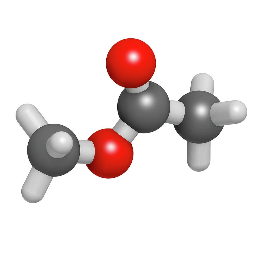 Nail Photograph - Methyl Acetate Solvent Molecule #4 by Molekuul