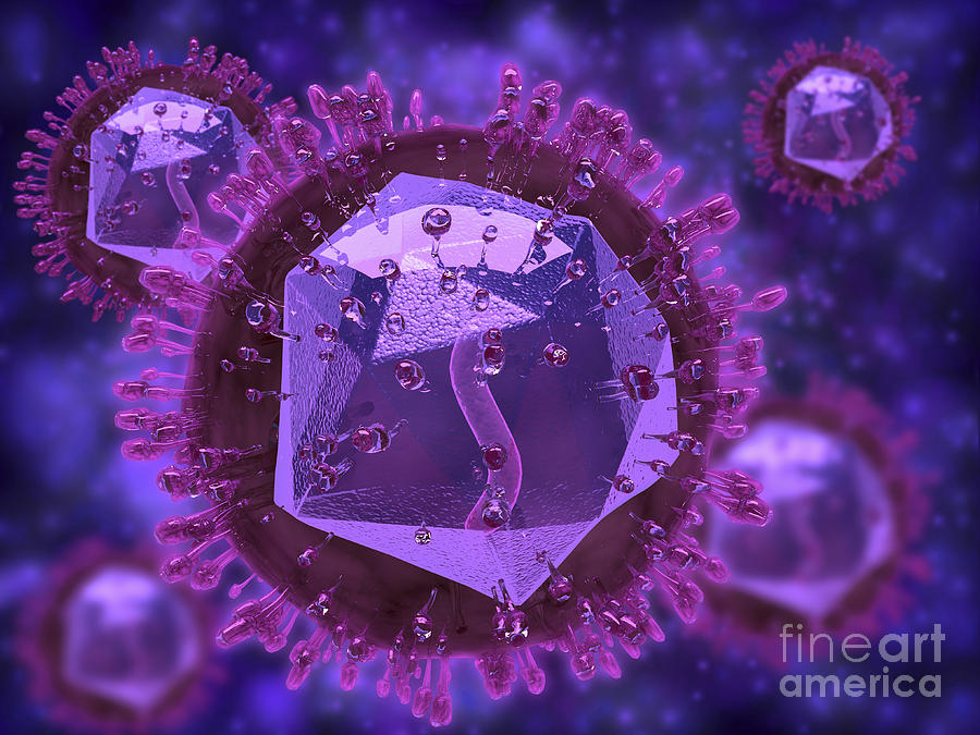 Microscopic View Of Herpes Virus #4 Digital Art by Stocktrek Images