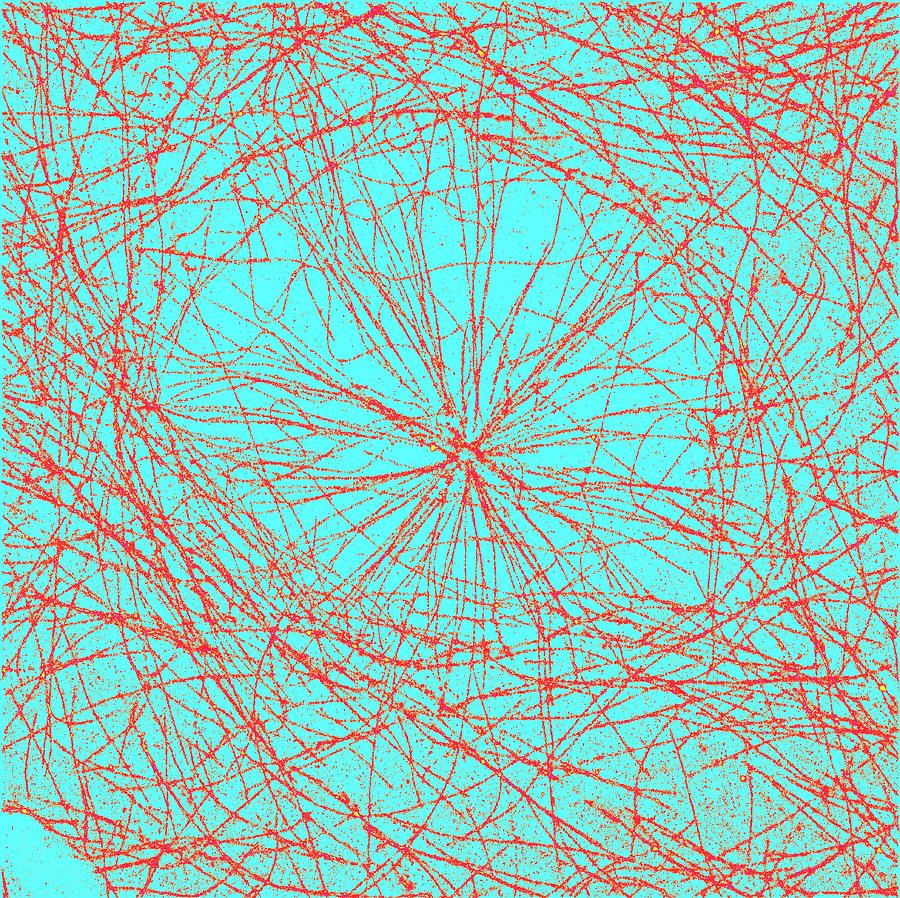 Microtubules #4 Photograph by Ammrf, University Of Sydney