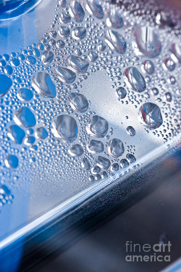 Moisture Droplets #4 Photograph by Charlotte Raymond
