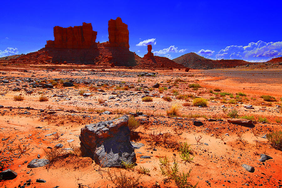 Monument Valley Utah USA #13 Photograph by Richard Wiggins