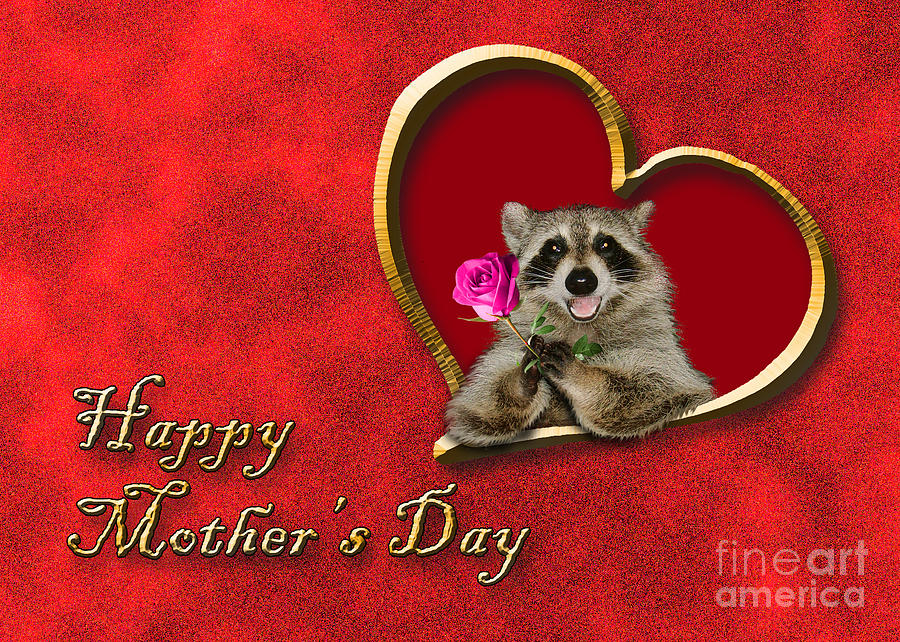Candy Photograph - Mothers Day Raccoon #4 by Jeanette K