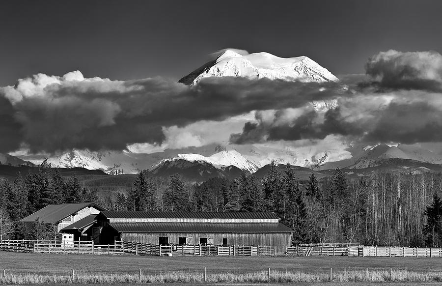 Mount Rainier Photograph by Paul Fell - Fine Art America