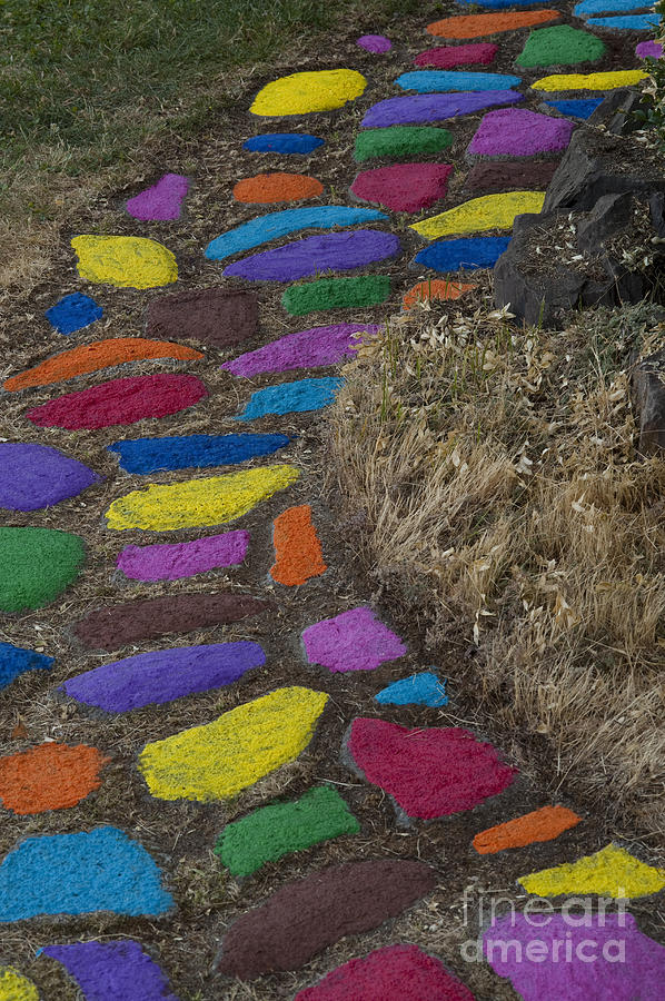 Multicolored rock path #4 Photograph by Jim Corwin